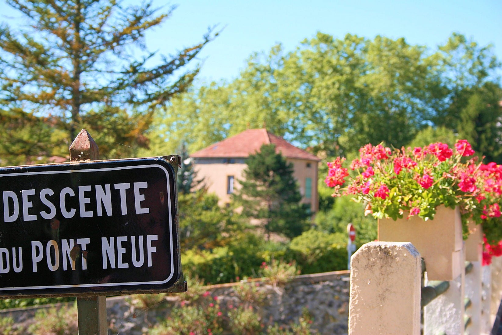 French signpost 'Descente du Pont Neuf' with floral backdrop.